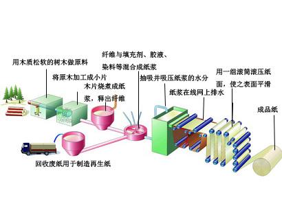 造纸流程
